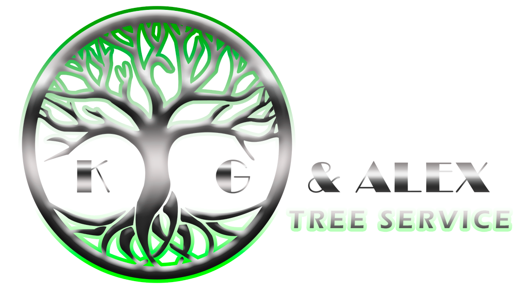kG & Alex tree service